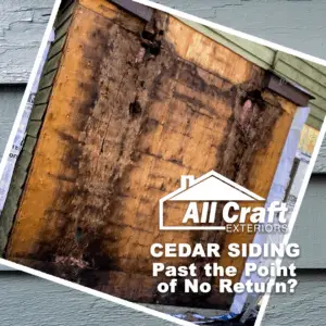 Rotten wood wall from failed cedar siding in Rochester MN home