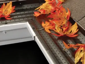 Leaf-Exterminator-pic